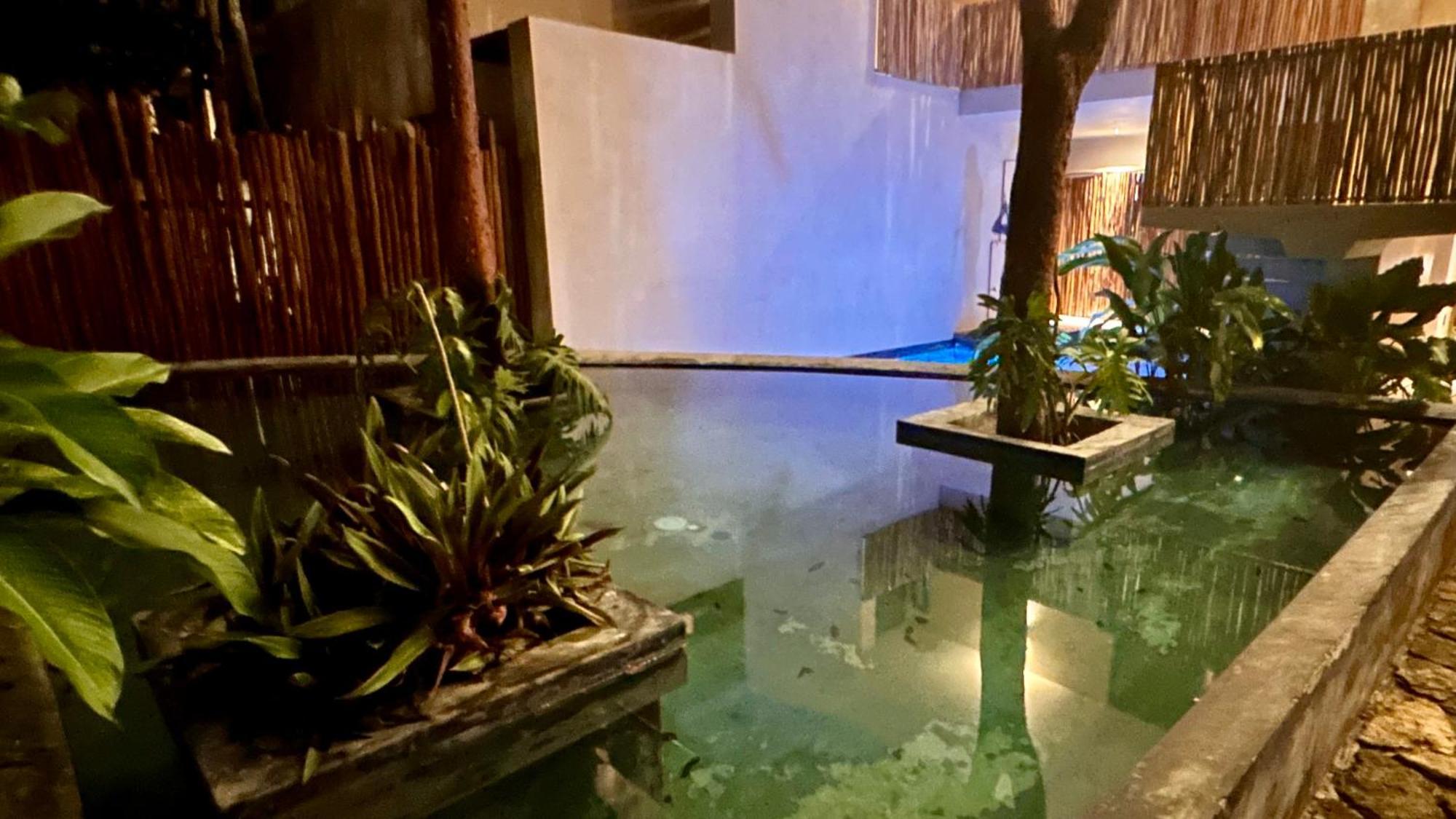 تولوم Condohotel Tsonot, En Luum Zama المظهر الخارجي الصورة